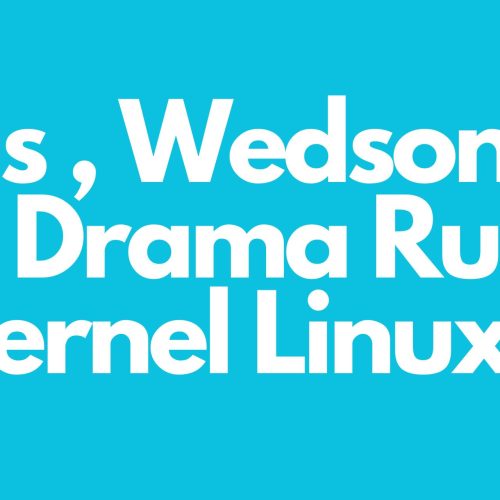Linus Torvalds, Wedson Almeida Filho, dan Drama Integrasi Rust di Kernel Linux 2024